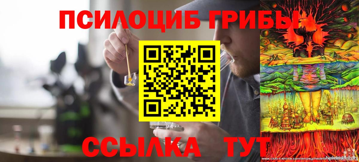 Геленджик  Псилоцибиновые грибы GOLDEN TEACHER  Псилоцибиновые грибы прущие грибы  Вход с VPN 